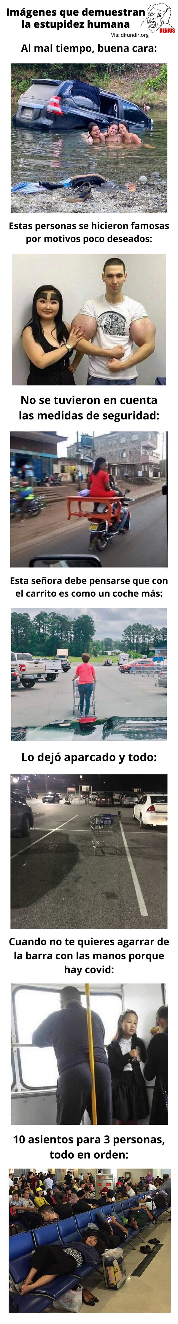 Meme_otros - Imágenes que demuestran la estupidez humana
