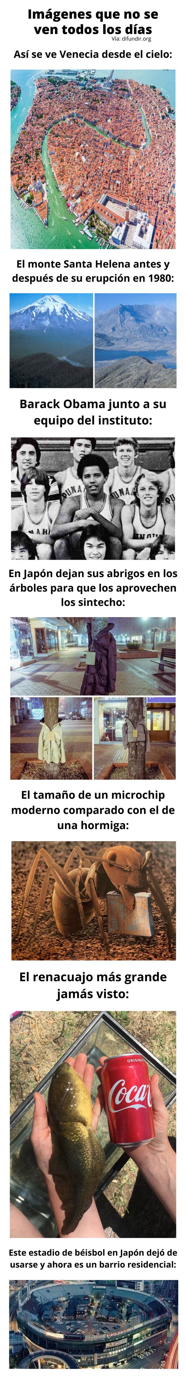 Meme_otros - Imágenes que no se ven todos los días