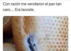 Enlace a Venía con sorpresa