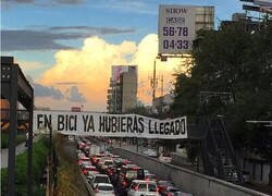 Enlace a El 'troll' de los atascos