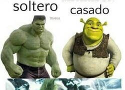 Enlace a Las etapas de la vida del hombre verde