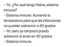 Enlace a ¡Maldición!