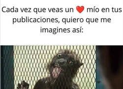 Enlace a Envíaselo a tu crush para éxito asegurado