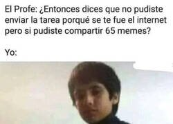 Enlace a Efectivamente, doña