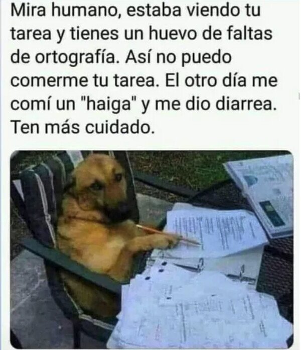 Otros - Así no se pueden comer los deberes