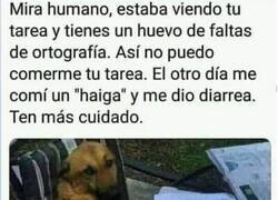 Enlace a Así no se pueden comer los deberes