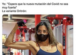 Enlace a Cuidado, entra por la puerta y por la ventana