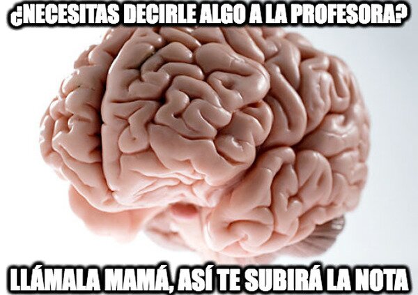 Cerebro_troll - Cerebro idiota