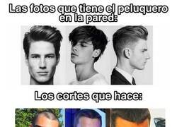 Enlace a Me engañaron