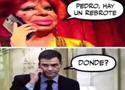 Enlace a Pedro cayó en la trampa de Carmen