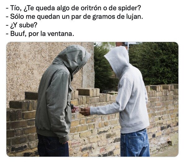 Meme_otros - Siguiendo los conocimientos de Paz Padilla