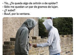 Enlace a Siguiendo los conocimientos de Paz Padilla