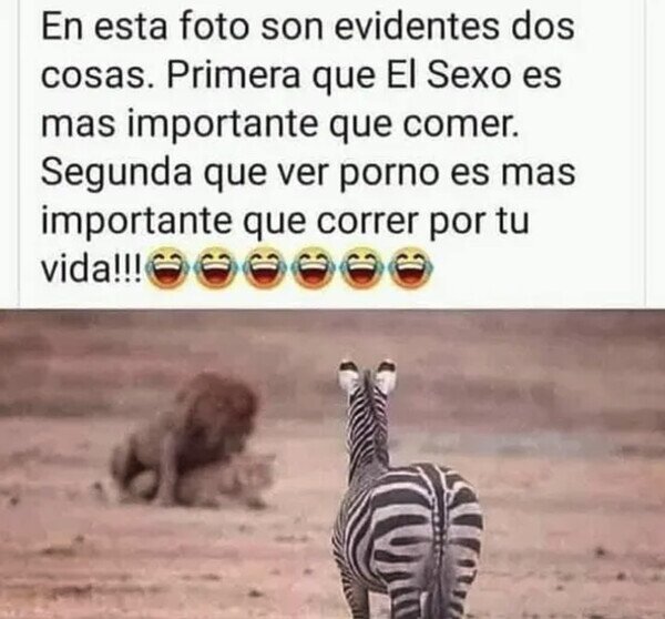 Otros - La naturaleza nos está hablando