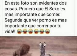 Enlace a La naturaleza nos está hablando
