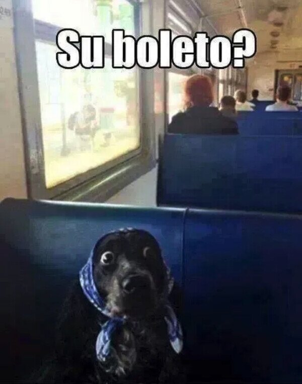 Meme_otros - Cuando aparece el revisor por sorpresa