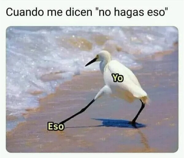 Meme_otros - No puedo evitar hacerlo
