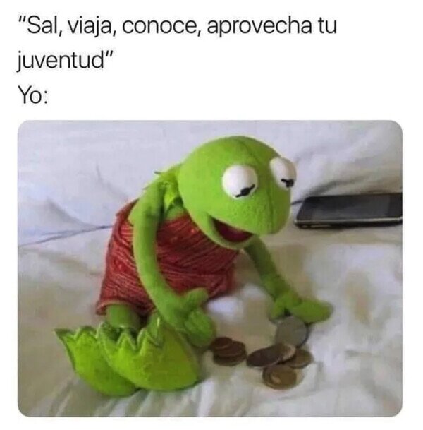Meme_otros - Mi presupuesto es limitado