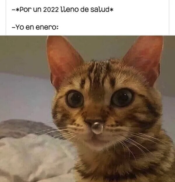 Meme_otros - Ya estoy malo...