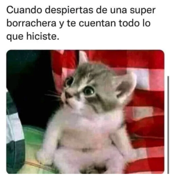 Meme_otros - ¿Es cierto todo eso?