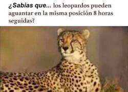 Enlace a Eso no es nada