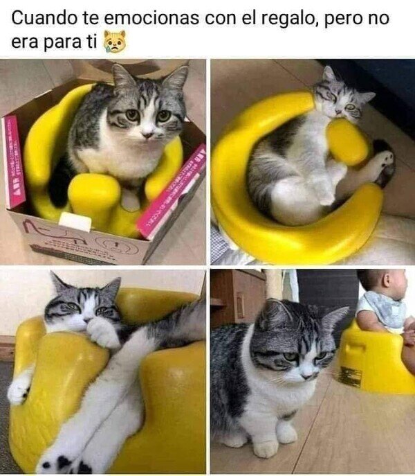 Meme_otros - La decepción