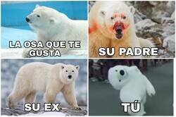 Enlace a La dura vida del Oso Polar de la Cabalgata de Cádiz