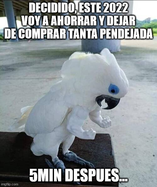 Meme_otros - Asi empezamos, veremos como termina...