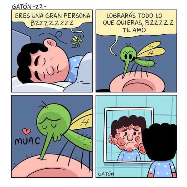 Meme_otros - Los mosquitos solo quieren mostrarnos su cariño