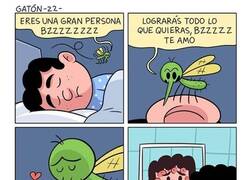 Enlace a Los mosquitos solo quieren mostrarnos su cariño