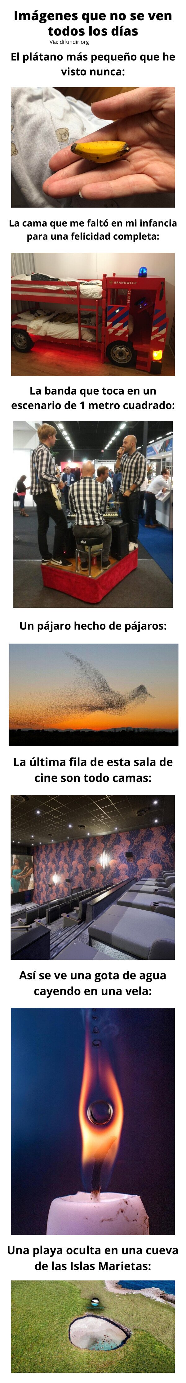 Meme_otros - Imágenes que no se ven todos los días