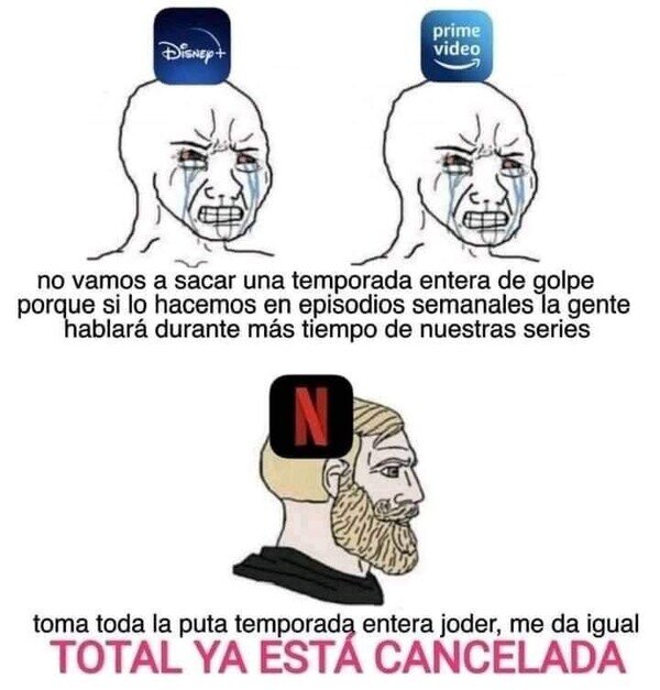 Otros - Netflix lo da todo