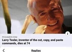 Enlace a Bonito homenaje