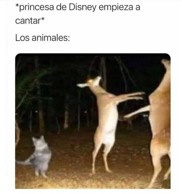 Meme_otros - Todos bailan a su son