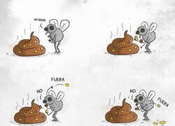 Enlace a Las moscas también tienen madre