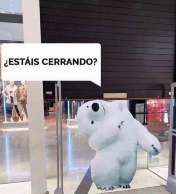 Otros - El oso de Cádiz soy yo en un centro comercial a las 20:58h