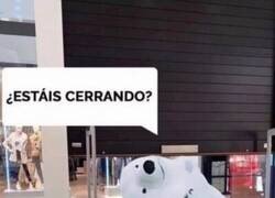 Enlace a El oso de Cádiz soy yo en un centro comercial a las 20:58h