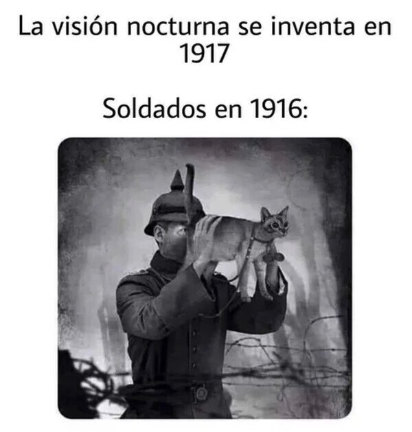 Otros - Veían a través de los gatos