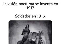 Enlace a Veían a través de los gatos