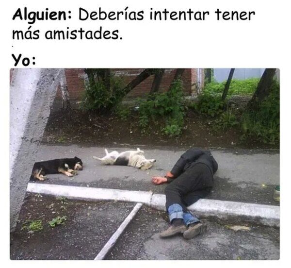 Otros - Los mejores amigos del hombre