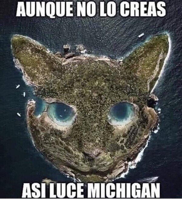 Meme_otros - Siempre pensé que así era