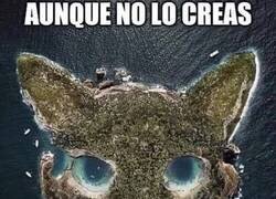 Enlace a Siempre pensé que así era