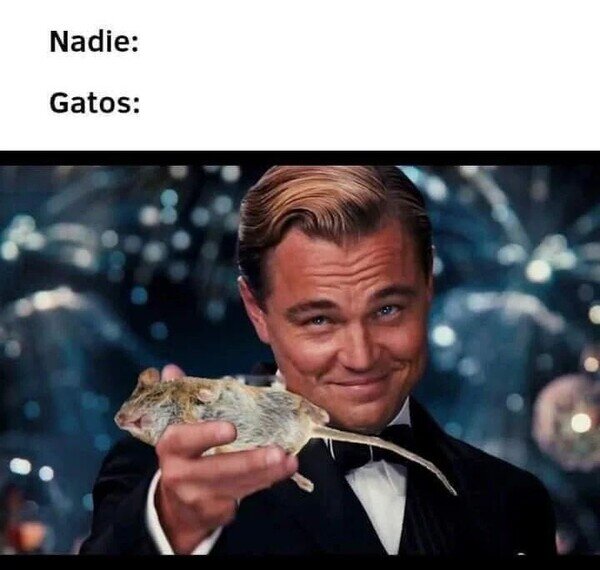 Meme_otros - Esa es su ofrenda
