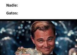 Enlace a Esa es su ofrenda