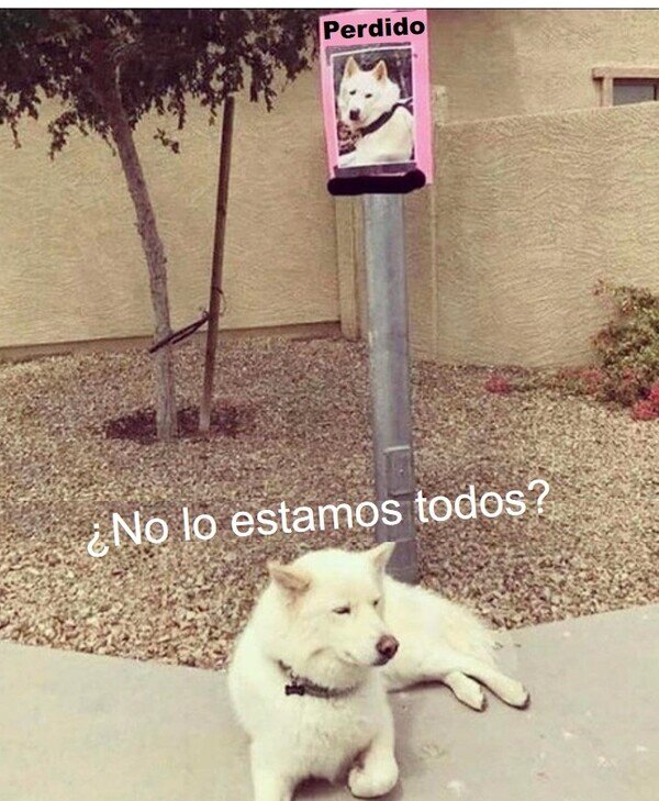 Meme_otros - Al final ¿Quién lo sabe?