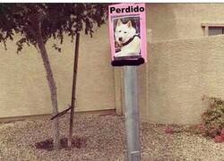 Enlace a Al final ¿Quién lo sabe?