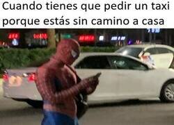 Enlace a Y esto no es spoiler