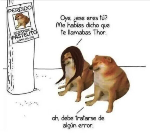 Otros - Los perros también se pueden sentir avergonzados