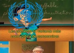 Enlace a No hacen otra cosa