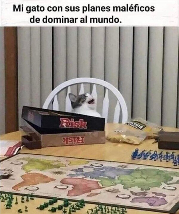 Meme_otros - Su juego favorito