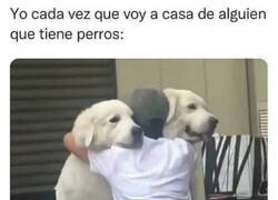 Enlace a Os quiero mucho